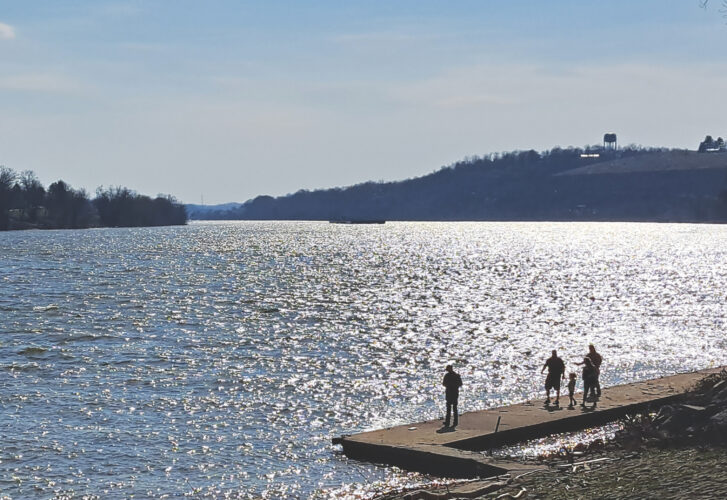 Sunny shoreline